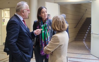 Zaragoza Esencial presente en el Senado durante el debate de regulación de las zonas comerciales urbanas en Aragón